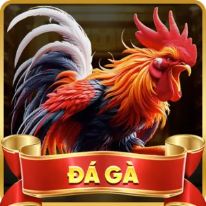 Dịch vụ hỗ trợ khách hàng 24/7 tại daga68