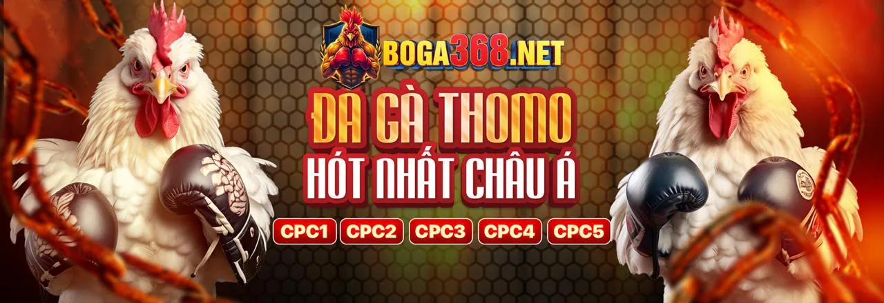 Đá gà trực tuyến kịch tính tại daga68 trang chủ chính thức